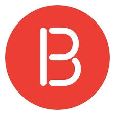 Bright Spark Group BSG favicon logo